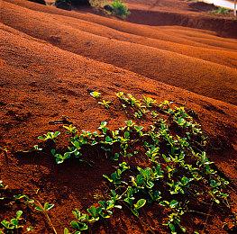 网易单机策略游戏《万民长歌：三国》实机演示